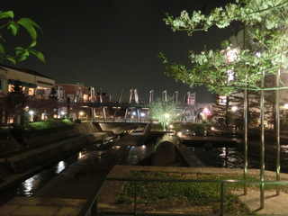 006.JPG