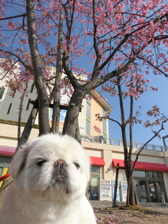 CIMG0021.JPG