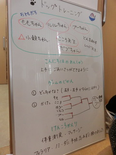 CIMG0187 (1).JPG