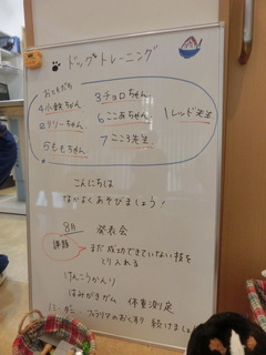 CIMG0429.JPG
