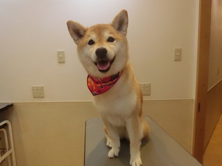 CIMG0777.JPG