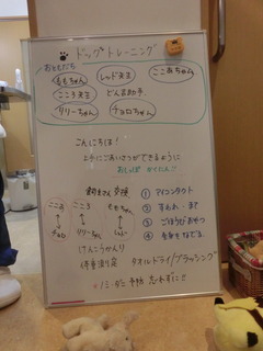 CIMG0956.JPG