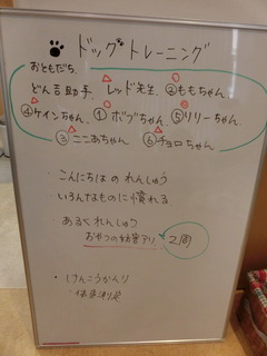 CIMG1040.JPG