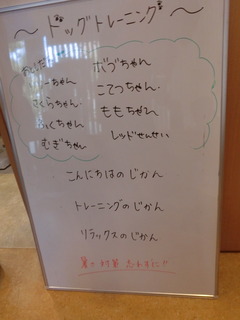 CIMG2391.JPG