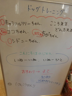 CIMG3667.JPG