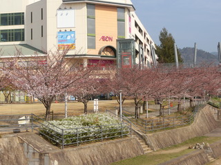 CIMG3935 (1).JPG