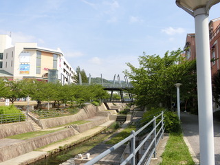 CIMG4491.JPG