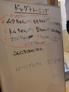 CIMG6727.JPG