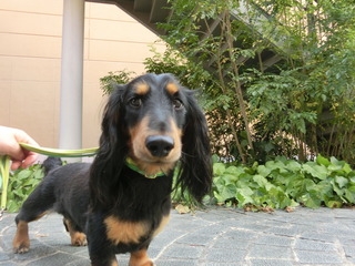 CIMG6740.JPG