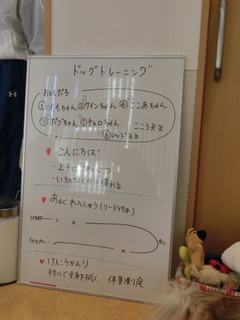 CIMG6799.JPG