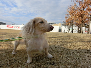CIMG7033.JPG