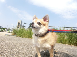 CIMG8233.JPG