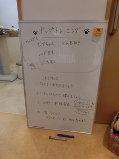 CIMG8289.JPG