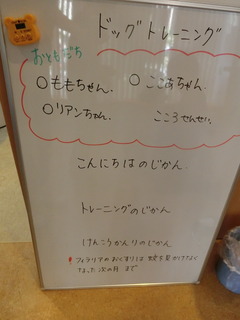 CIMG8373.JPG