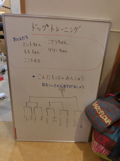 CIMG8750.JPG