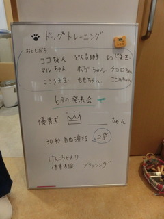 CIMG8953.JPG